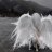 Matthew_Dobrov